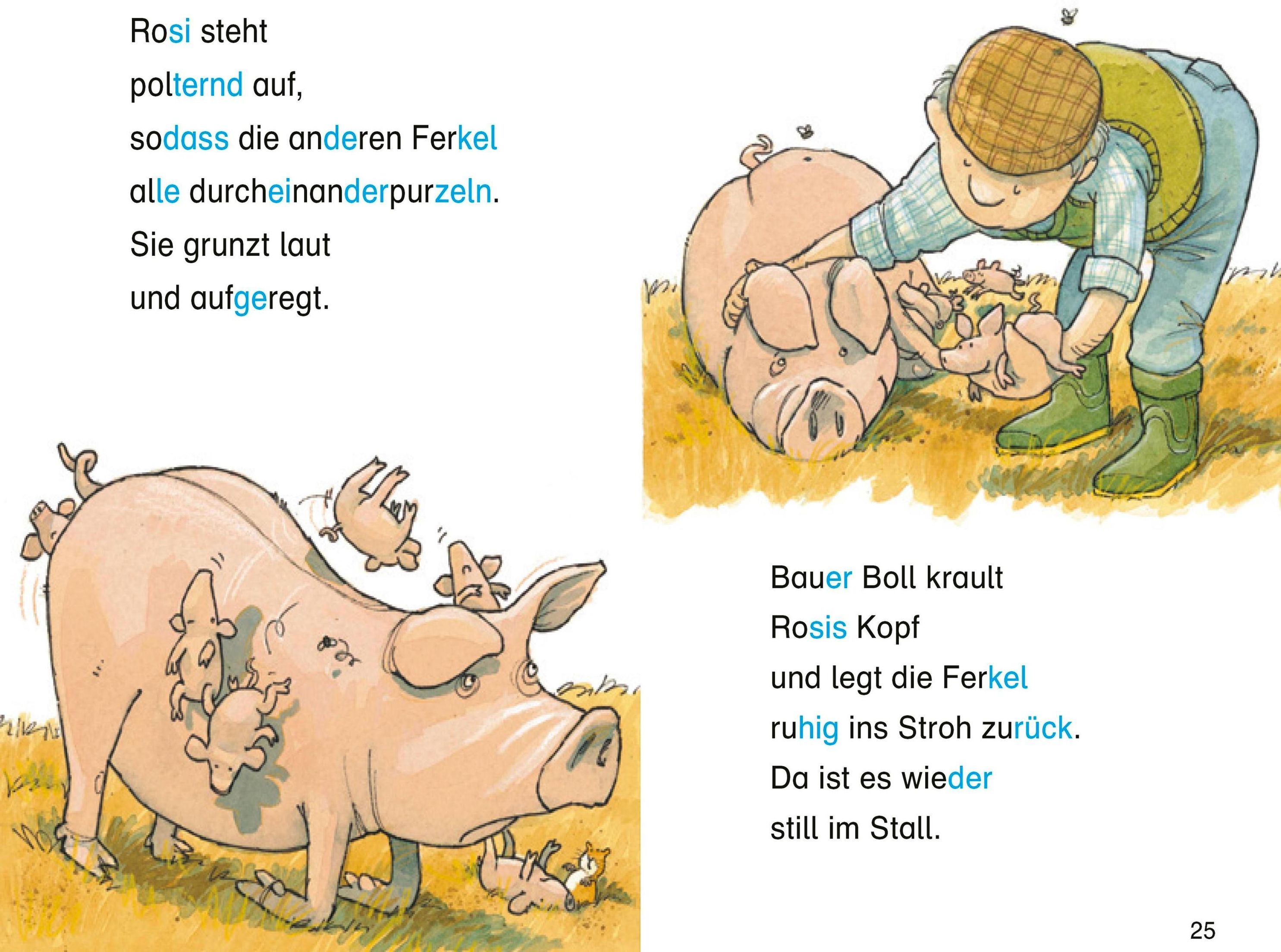 Duden Leseprofi - Silbe für Silbe: Silbengeschichten für Tierfreunde, 1.  Klasse Buch