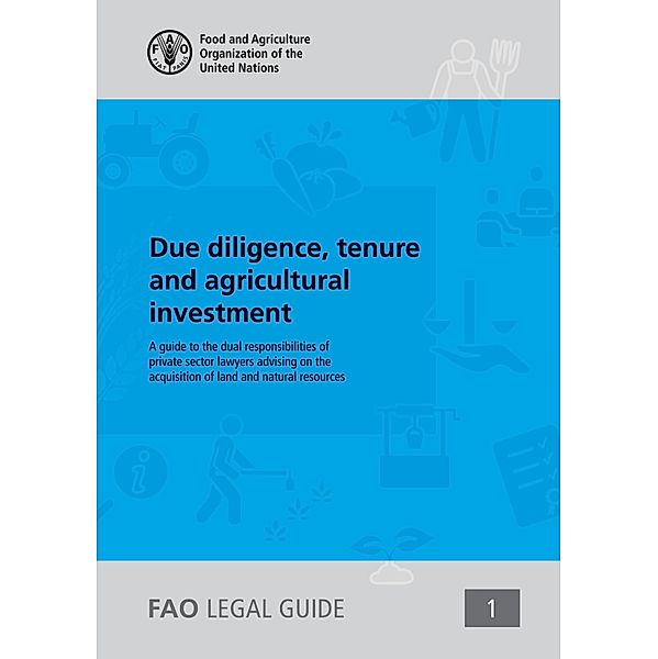 Due Diligence, Tenure and Agricultural Investment