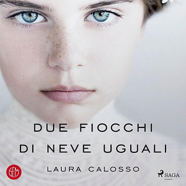 Due fiocchi di neve uguali, Laura Calosso