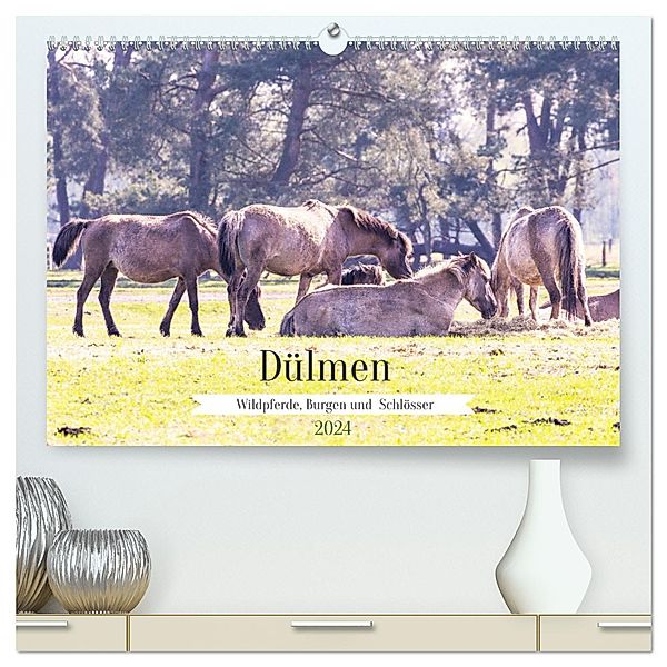 Dülmen - Wildpferde, Burgen und Schlösser (hochwertiger Premium Wandkalender 2024 DIN A2 quer), Kunstdruck in Hochglanz, Brigitte Dürr