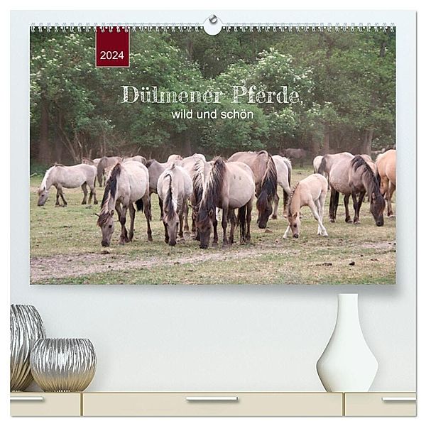 Dülmener Pferde, wild und schön (hochwertiger Premium Wandkalender 2024 DIN A2 quer), Kunstdruck in Hochglanz, Angelika keller