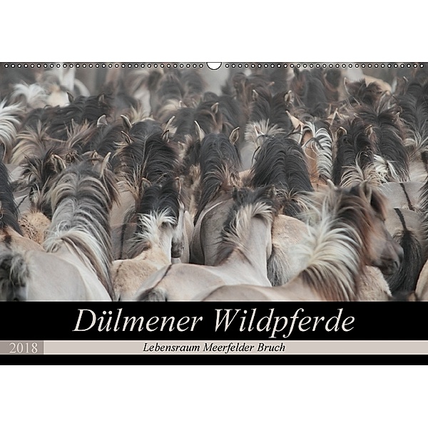 Dülmener Wildpferde - Lebensraum Meerfelder Bruch (Wandkalender 2018 DIN A2 quer), Barbara Mielewczyk