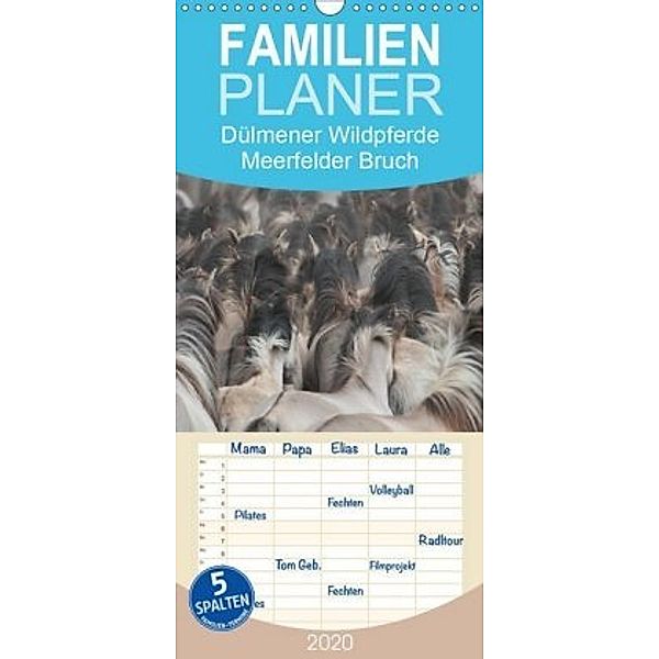 Dülmener Wildpferde - Meerfelder Bruch - Familienplaner hoch (Wandkalender 2020 , 21 cm x 45 cm, hoch), Barbara Mielewczyk