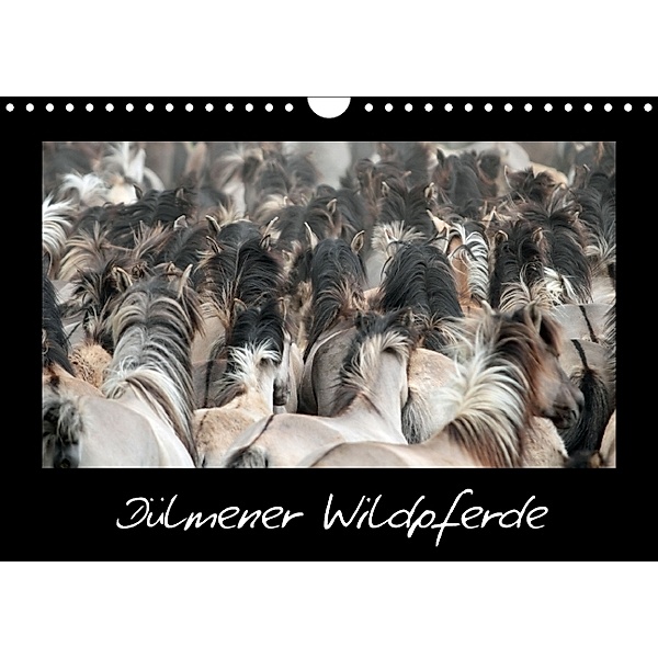Dülmener Wildpferde (Wandkalender 2014 DIN A4 quer), Barbara Mielewczyk