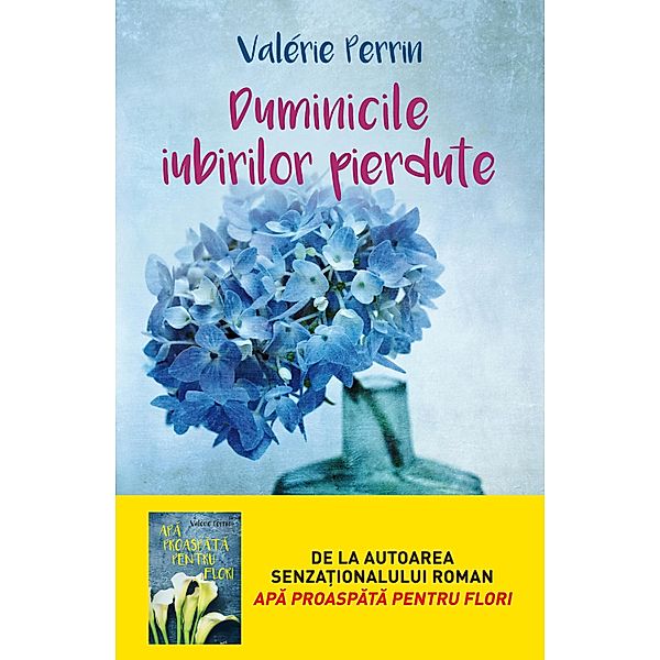 Duminicile iubirilor pierdute / Buzz Books, Valerie Perrin