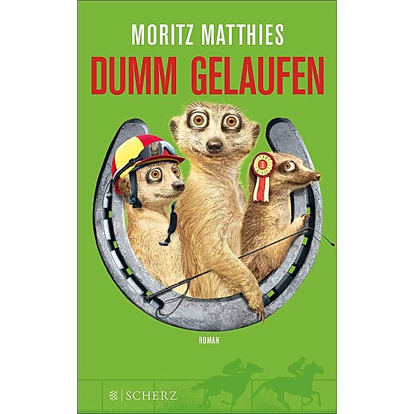 Dumm gelaufen / Erdmännchen Ray & Rufus Bd.3, Moritz Matthies