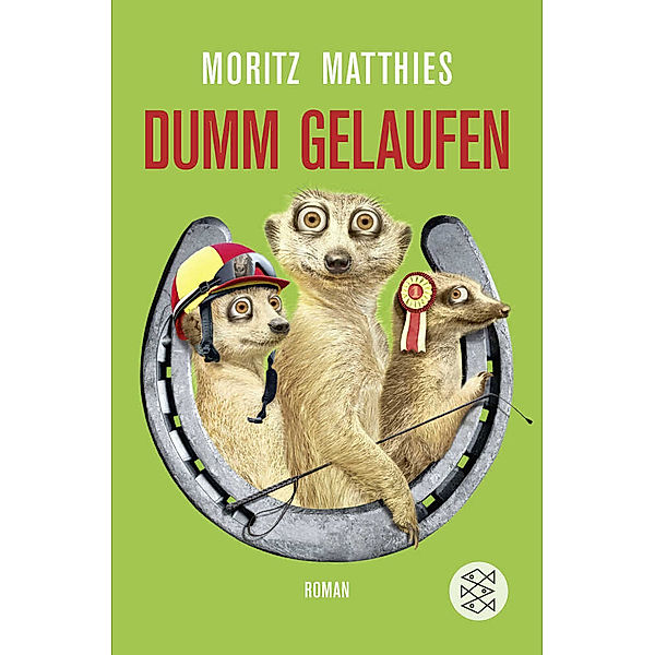 Dumm gelaufen / Erdmännchen Ray & Rufus Bd.3, Moritz Matthies