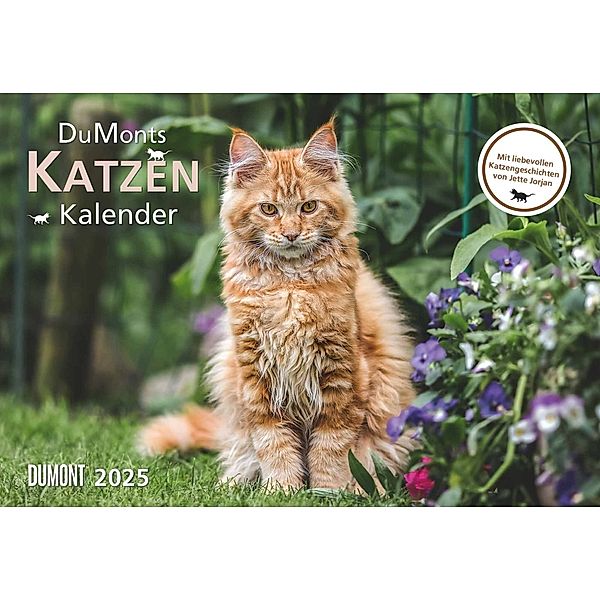 DUMONT - DUMONTS Katzenkalender 2025 Broschürenkalender, 42x29cm, Wandkalender mit kurzweiligen Katzengeschichten von Jette Jorjan, mit Schulferienterminen und Jahresübersicht