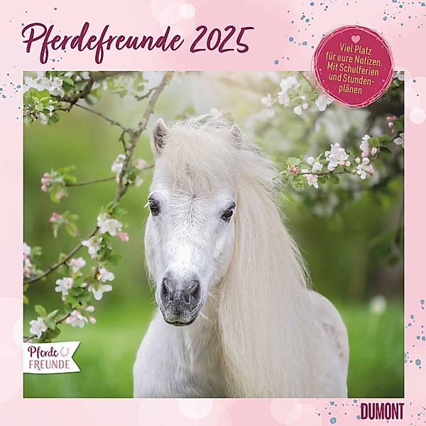 DUMONT - Pferdefreunde 2025 Broschürenkalender, 30x30cm, Wandkalender mit Pferde-Motiven, mit Stundenplan und Schulferien