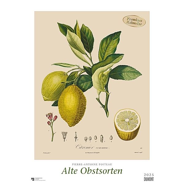 DUMONT - Poiteau: Alte Obstsorten 2025 Wandkalender, 50x70cm, Posterkalender mit Abbildungen von alten Obstsorten, aus der Rara-Sammlung der Staatsbibliothek zu Berlin