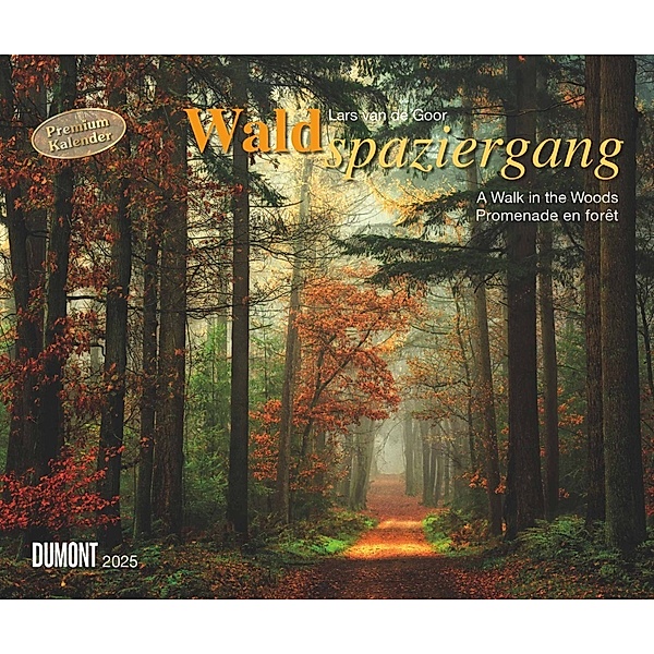 DUMONT - Waldspaziergang 2025 Wandkalender, 60x50cm, Fotokunst-Kalender mit beeindruckenden Fotografien aus dem Wald, im Querformat