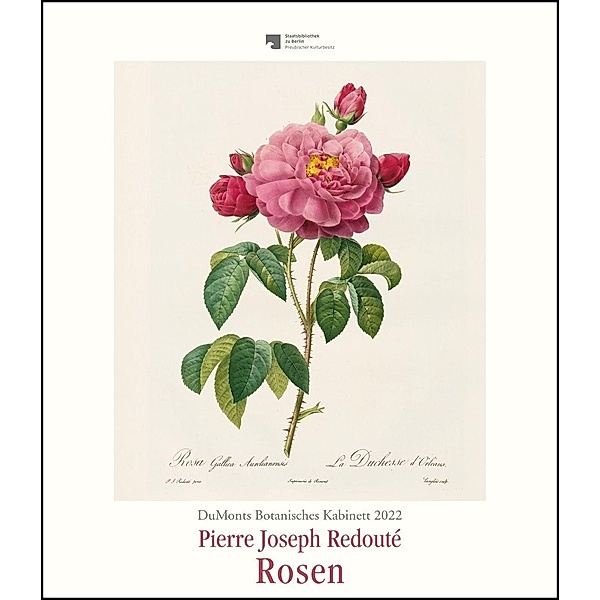 DuMonts Botanisches Kabinett - Rosen von P.J. Redouté - Kunstkalender 2022