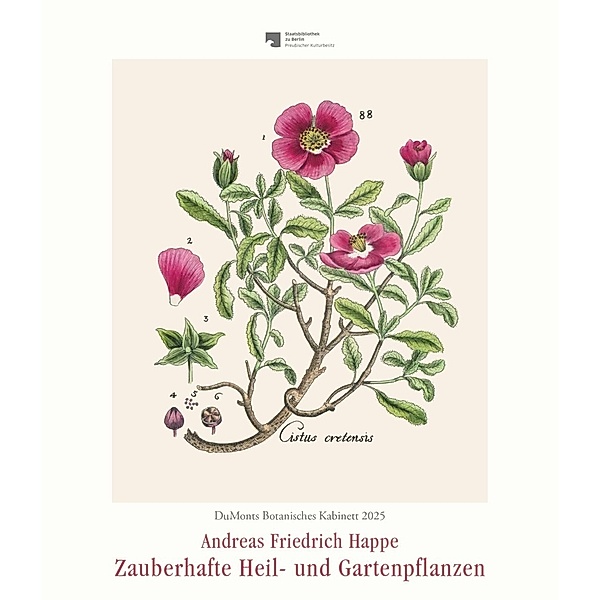 DuMonts Botanisches Kabinett - Zauberhafte Heil- und Gartenpflanzen - Illustriert von F.A. Happe - Kunstkalender 2025 - Wandkalender im Hochformat 34,5 x 40 cm