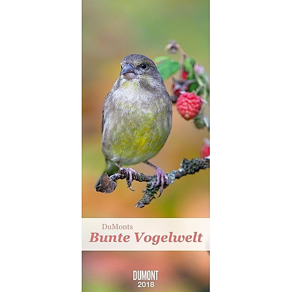 DuMonts Bunte Vogelwelt 2018