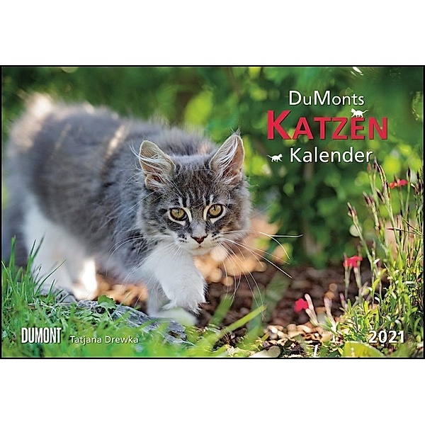 DUMONTS Katzenkalender 2021