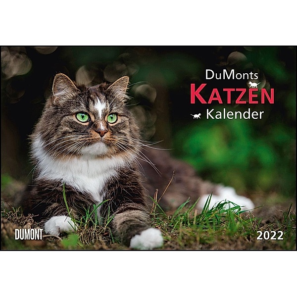 DUMONTS Katzenkalender 2022 - Broschürenkalender - Wandkalender - mit Schulferienterminen - Format 42 x 29 cm