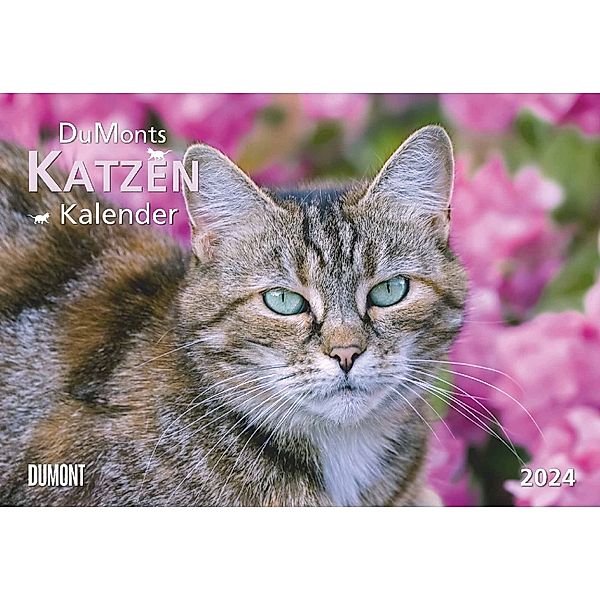 DUMONTS Katzenkalender 2024 - Broschürenkalender - Wandkalender - mit Schulferienterminen - Format 42 x 29 cm