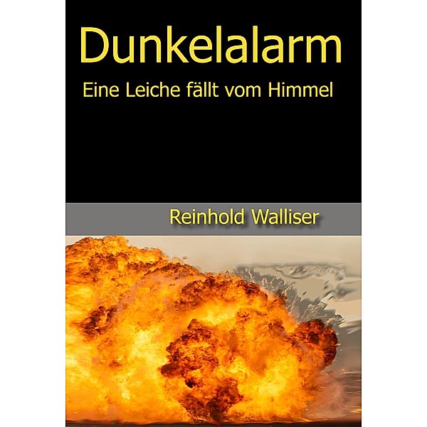 Dunkelalarm, Reinhold Walliser