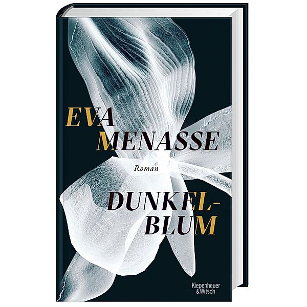 Dunkelblum, Eva Menasse