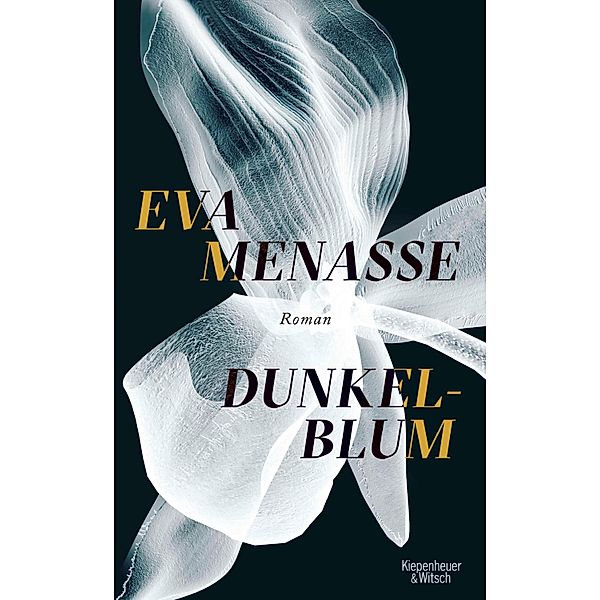 Dunkelblum, Eva Menasse