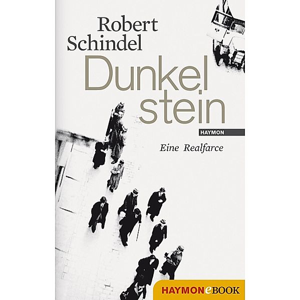 Dunkelstein, Robert Schindel