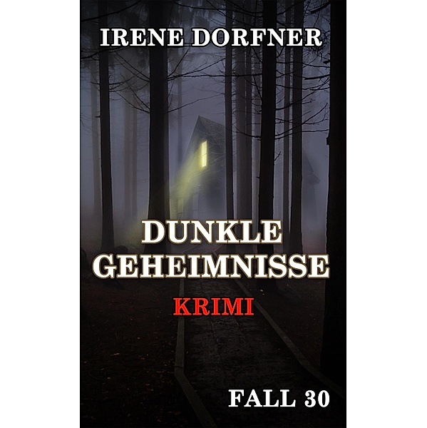 DUNKLE GEHEIMNISSE / Leo Schwartz Bd.30, Irene Dorfner