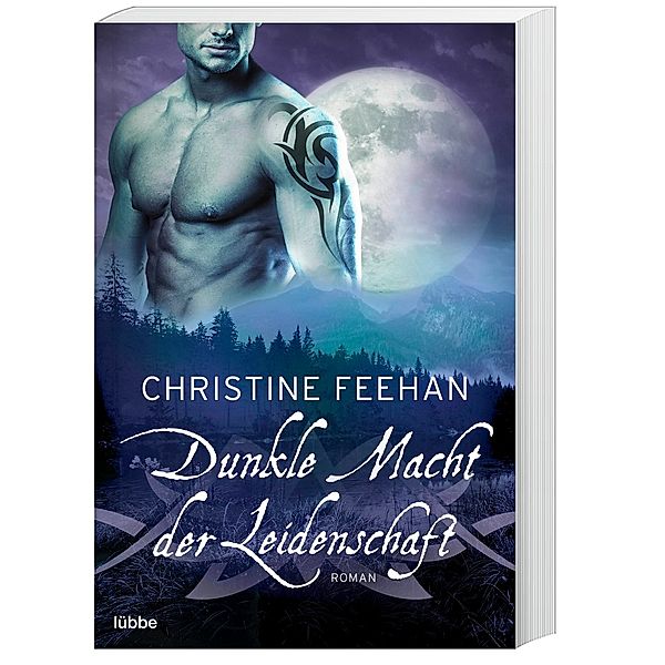 Dunkle Macht der Leidenschaft / Dark Carpathians Bd.33, Christine Feehan