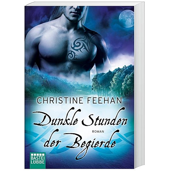 Dunkle Stunden der Begierde / Dark Carpathians Bd.30, Christine Feehan