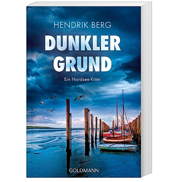 Dunkler Grund / Theo Krumme Bd.7, Hendrik Berg