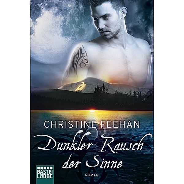 Dunkler Rausch der Sinne / Dark Carpathians Bd.8, Christine Feehan