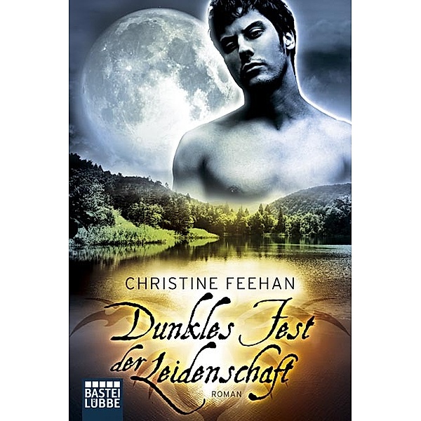 Dunkles Fest der Leidenschaft / Dark Carpathians Bd.14, Christine Feehan