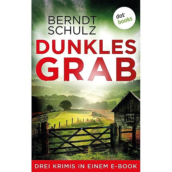 Dunkles Grab, Berndt Schulz