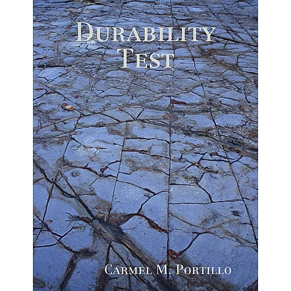 Durability Test, Carmel M. Portillo