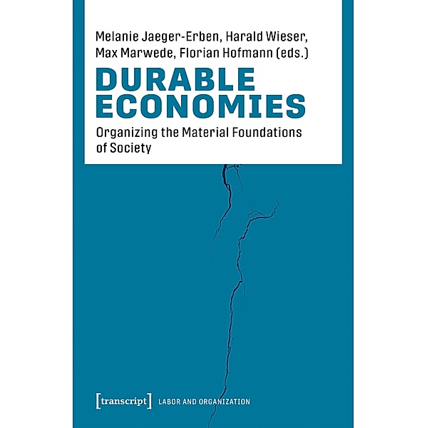 Durable Economies / Arbeit und Organisation Bd.10