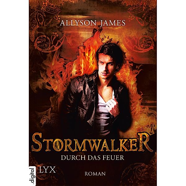 Durch das Feuer / Stormwalker Bd.2, Allyson James