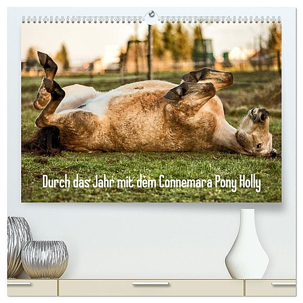 Durch das Jahr mit dem Connemara Pony Holly (hochwertiger Premium Wandkalender 2024 DIN A2 quer), Kunstdruck in Hochglanz, Romy Pfeifer