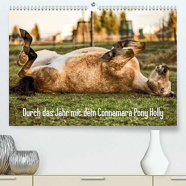 Durch das Jahr mit dem Connemara Pony Holly (Premium, hochwertiger DIN A2 Wandkalender 2023, Kunstdruck in Hochglanz), Romy Pfeifer