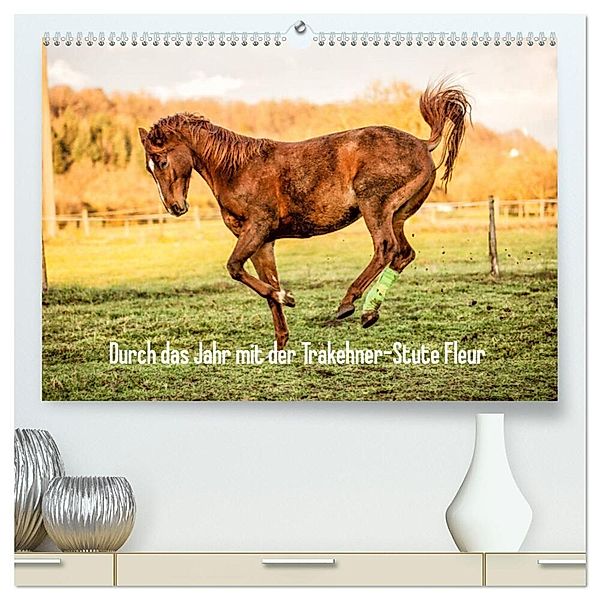 Durch das Jahr mit der Trakehner-Stute Fleur (hochwertiger Premium Wandkalender 2025 DIN A2 quer), Kunstdruck in Hochglanz, Calvendo, Romy Pfeifer