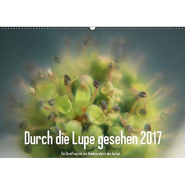Durch die Lupe gesehen 2017 / CH-Version (Wandkalender 2017 DIN A2 quer), Kerstin Stolzenburg
