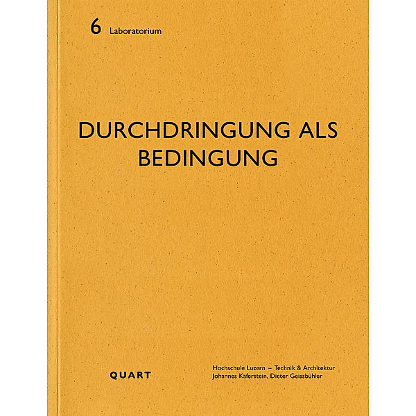 Durchdringung als Bedingung, Dieter Geissbühler