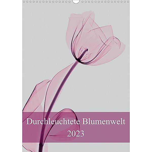 Durchleuchtete Blumenwelt 2023 (Wandkalender 2023 DIN A3 hoch), Aleksandar Reba