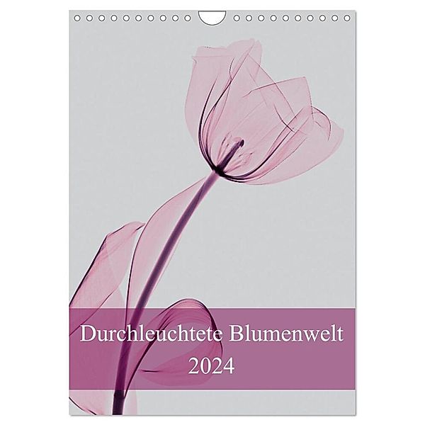 Durchleuchtete Blumenwelt 2024 (Wandkalender 2024 DIN A4 hoch), CALVENDO Monatskalender, Aleksandar Reba