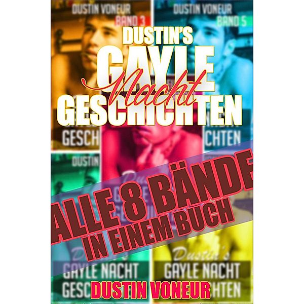 Dustins gayle Nachtgeschichten: Alle 8 Bände in einem Buch / Dustins gayle Nachtgeschichten, Dustin Voneur