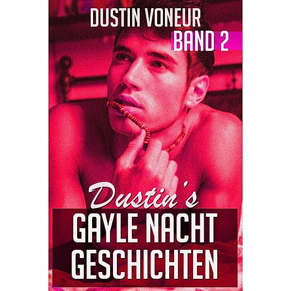 Dustins gayle Nachtgeschichten - Band 2 / Dustins gayle Nachtgeschichten, Dustin Voneur