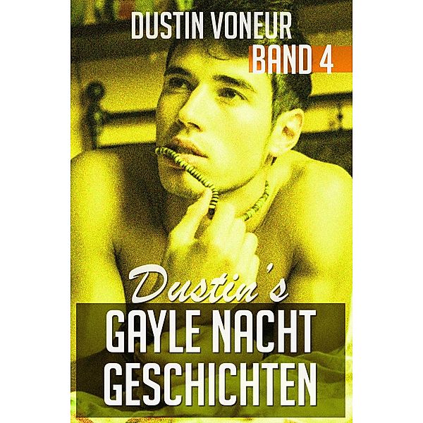 Dustins gayle Nachtgeschichten - Band 4 / Dustins gayle Nachtgeschichten, Dustin Voneur