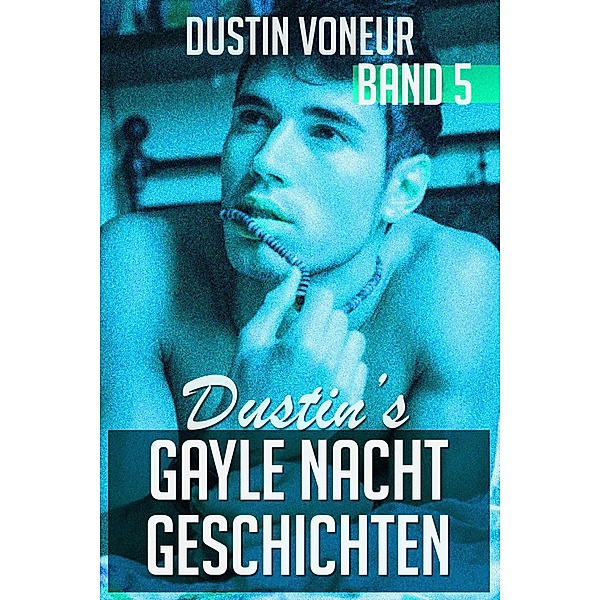 Dustins gayle Nachtgeschichten - Band 5 / Dustins gayle Nachtgeschichten, Dustin Voneur