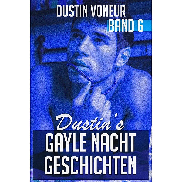 Dustins gayle Nachtgeschichten - Band 6 / Dustins gayle Nachtgeschichten, Dustin Voneur