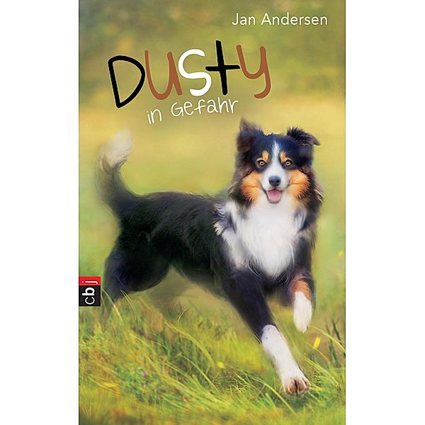 Dusty in Gefahr / Dusty Bd.2, Jan Andersen