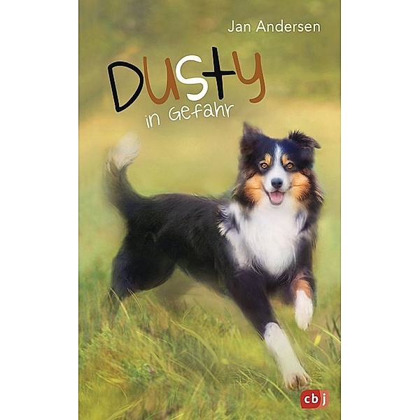 Dusty in Gefahr / Dusty Bd.2, Jan Andersen