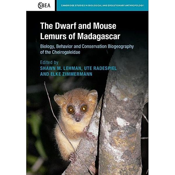 Dwarf and Mouse Lemurs of Madagascar / Cambridge Studies in Biological and Evolutionary Anthropology
